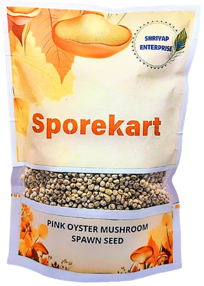 SporeKart Shroomness Pink Oyster Mushroom Spawn (Seeds)
