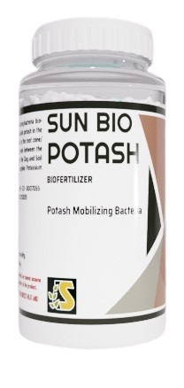 Sonkul Sun Bio Potash - Potash Mobilizing Bacteria