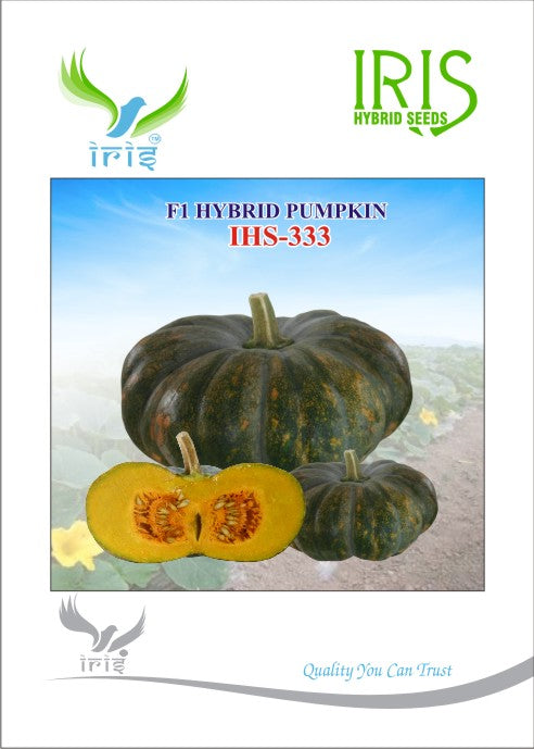Pumpkin / Kaddoo F1 Iris IHS-333 10 grams