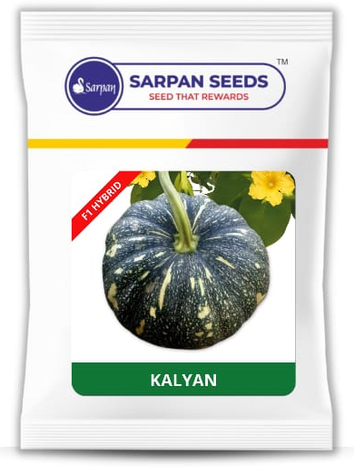 Pumpkin / Kaddoo Sarpan Kalyan