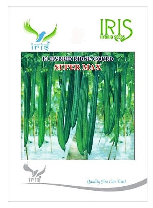 Ridgegourd / Turai F1 Hybrid Super Max