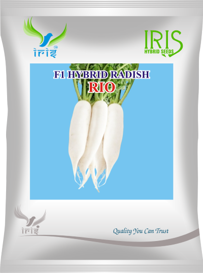 Radish F1 Iris Rio
