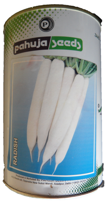 Radish Sweta