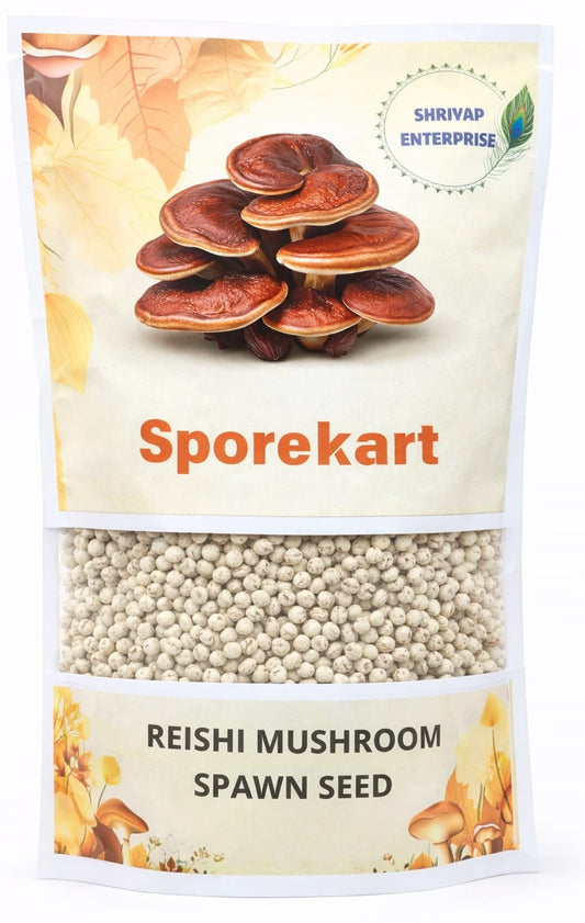 SporeKart Shroomness Reshi Mushroom Spawn (Ganoderma Lucidum) seeds