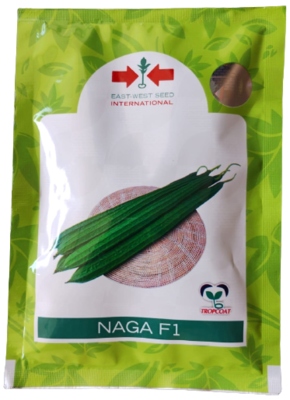 RidgeGourd / Turai Naga