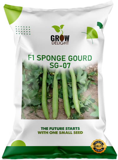 SpongeGourd / Galki F1 SG-07