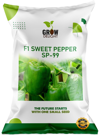 Capsicum / Sweet Pepper F1 SP-99