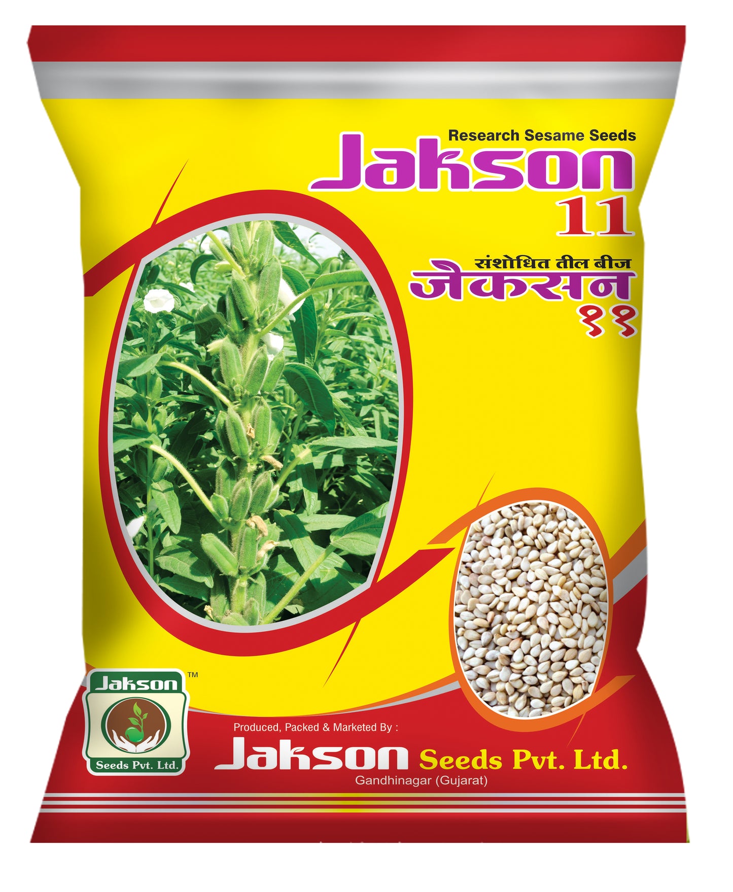 Seasamum / Til Research Jakson 11