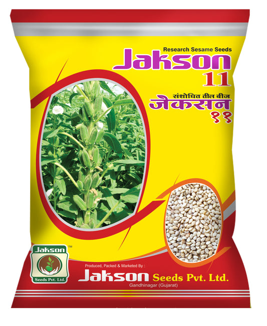Seasamum / Til Research Jakson 11