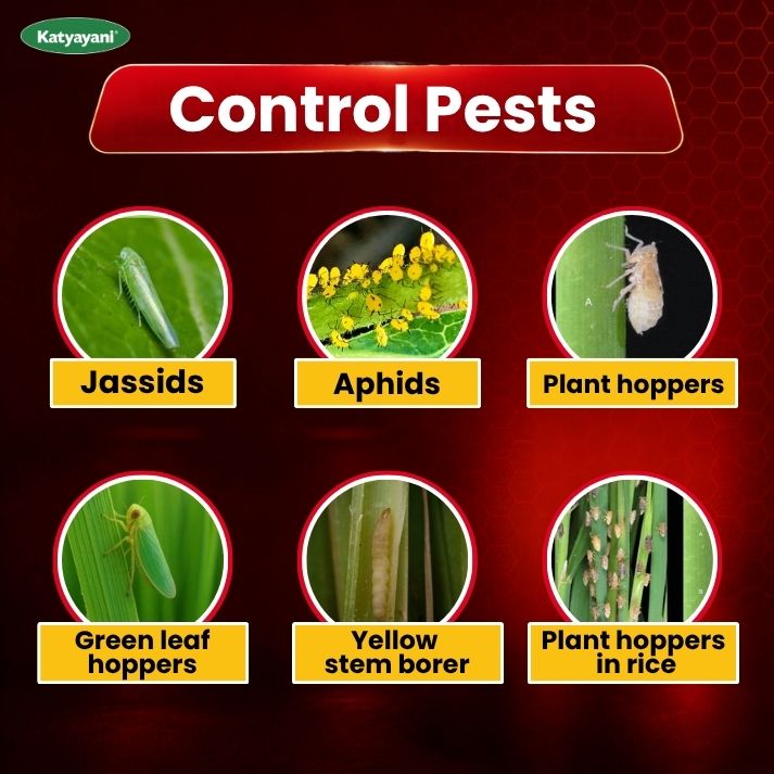 Katyayani Shikaar - Acephate 75% SP | Systemic Insecticide