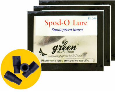 Combo Pack of Funnel Pheromone Trap + Spodo-o Pheromone Lure