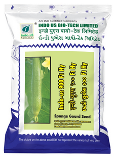 SpongeGourd / Galki Indo US 900