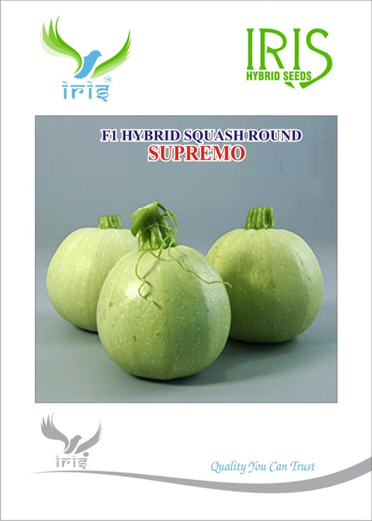 Squash Round Iris F1 Supremo