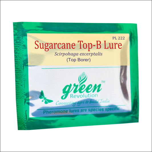 Green Revolution Sugarcane Top-B Lure