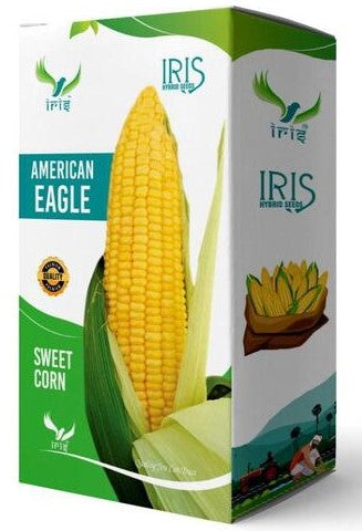 Maize / Sweet Corn F1 Iris American Eagle