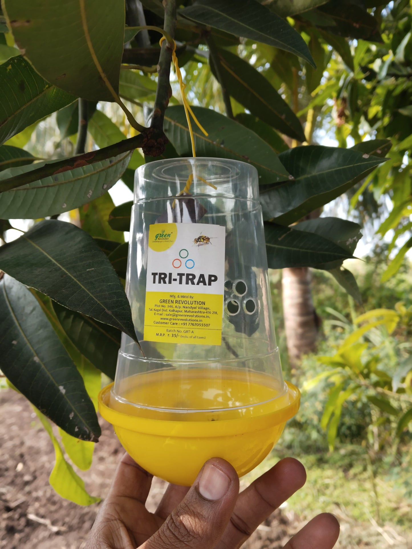 Green Revolution TRI Trap With Fruit Fly Lure