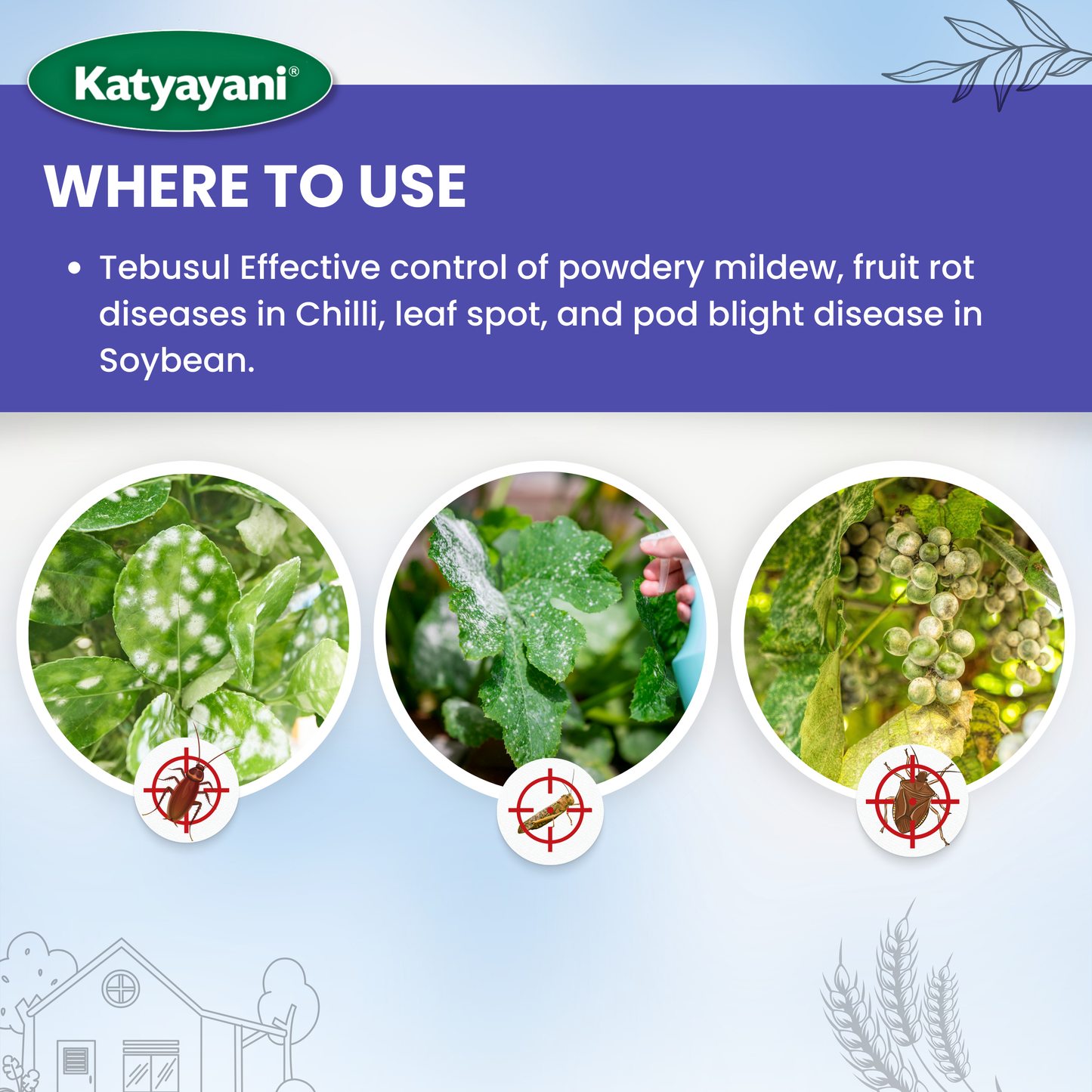 Katyayani Tebuconazole 10 % + Sulphur 65 % WG