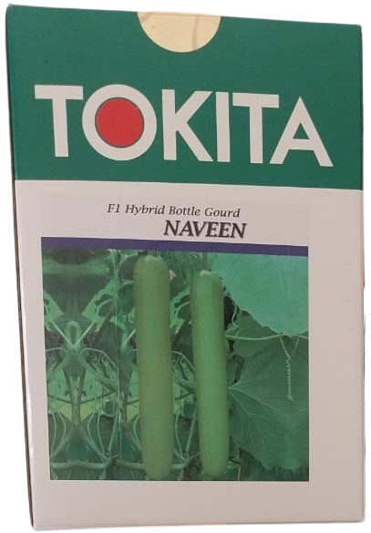 Bottlegourd / Lauki Tokita F1 Naveen