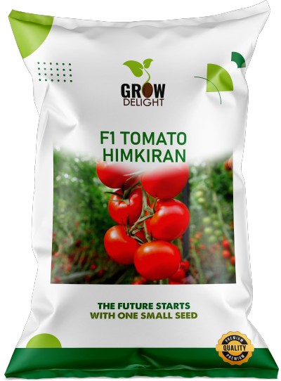 Tomato F1 Himkiran