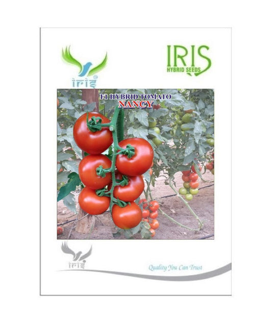 Tomato Iris F1 Nancy