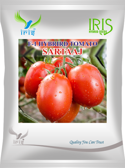Tomato Iris F1 Sartaaj