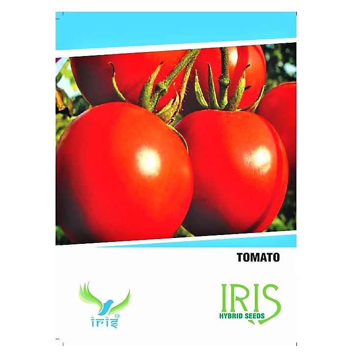 Iris F1 Tomato