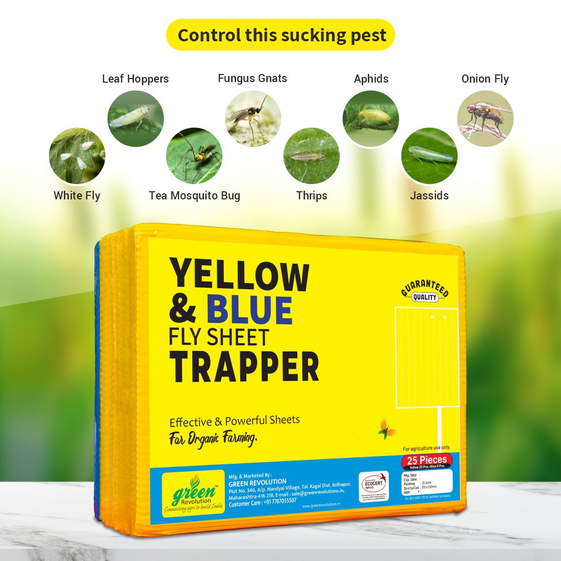 Green Revolution ECO Sticky Trap pack of 25 pieces | A5 Size