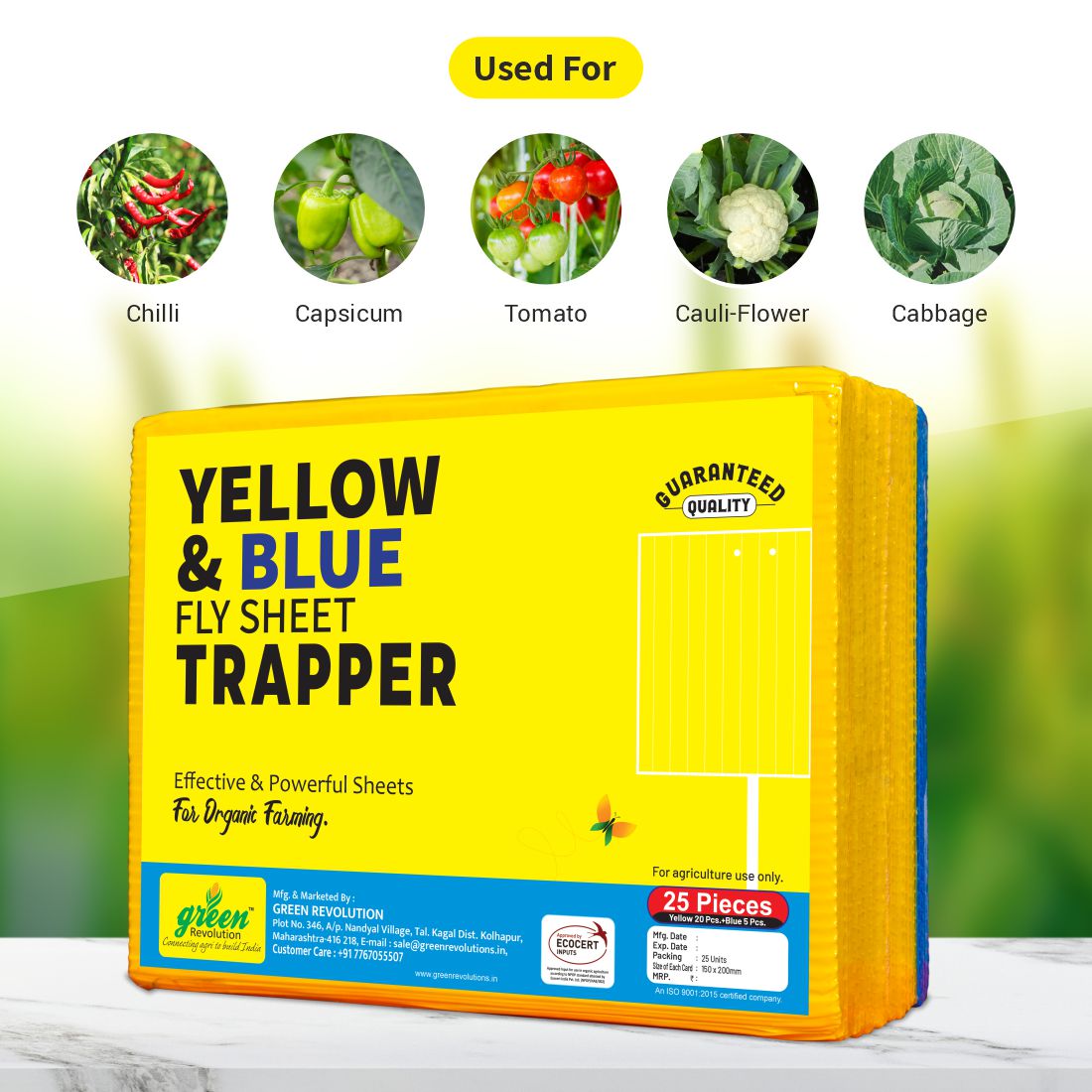 Green Revolution ECO Sticky Trap pack of 25 pieces | A5 Size