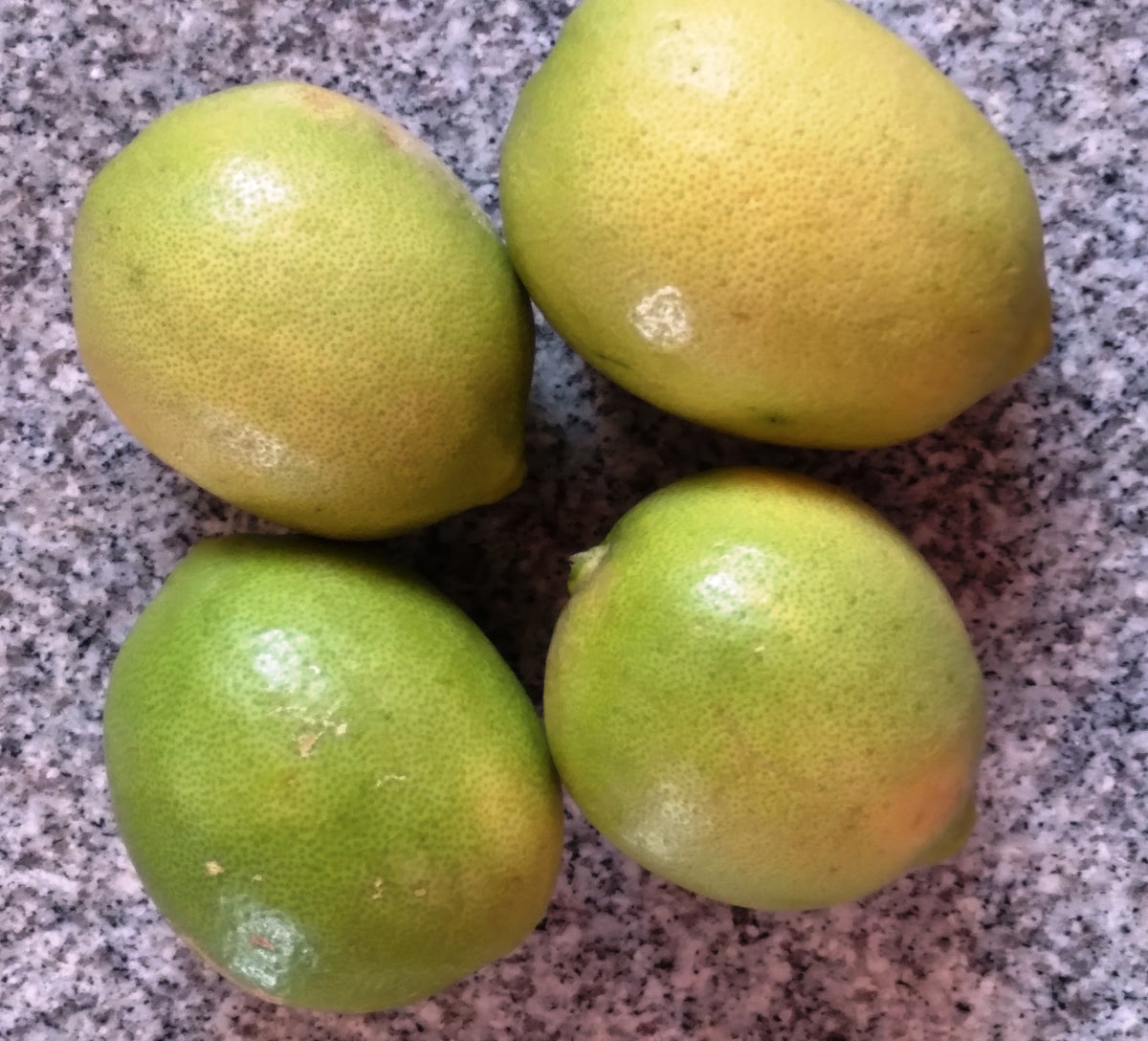 Ecotika Tropical Fruit and Citrus Special - Premium Fruit Fertilizer
