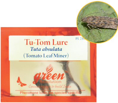 Tu - Tom Lure / Tuta Absoluta Pheromone Lure