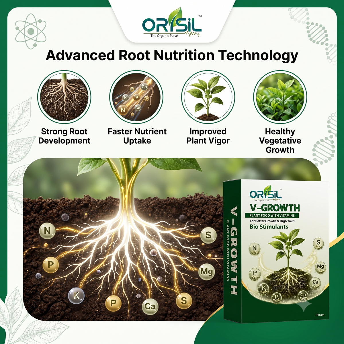 Annadata ORISIL V-Growth - Plant Food with Vitamins