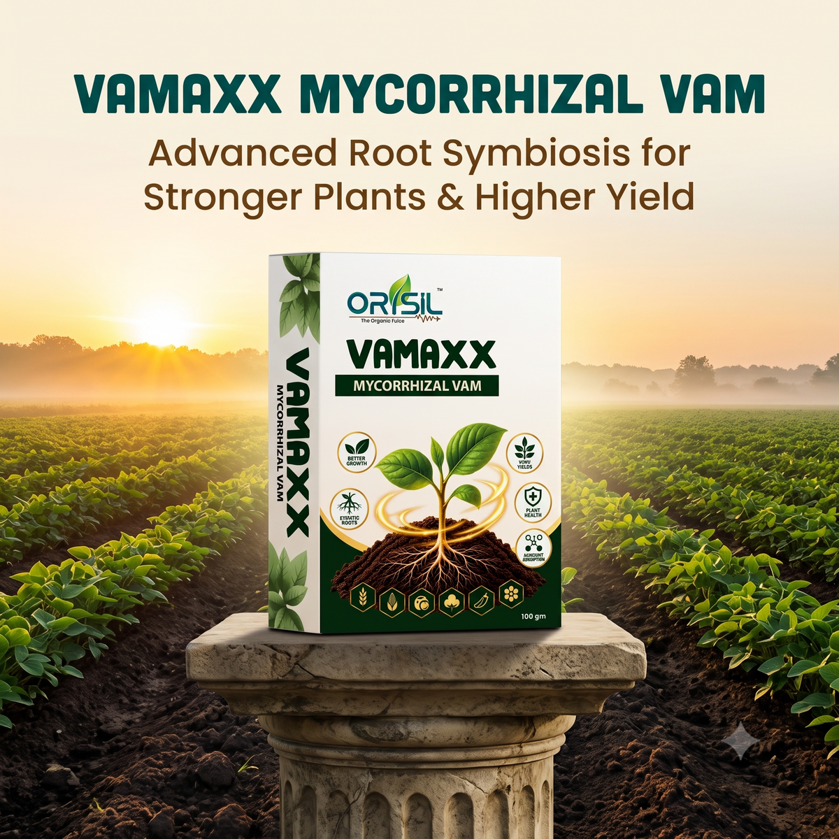 Annadata Orisil Vamaxx Mycorrhizal 1,20,000 IP Bio Fertilizer Vam