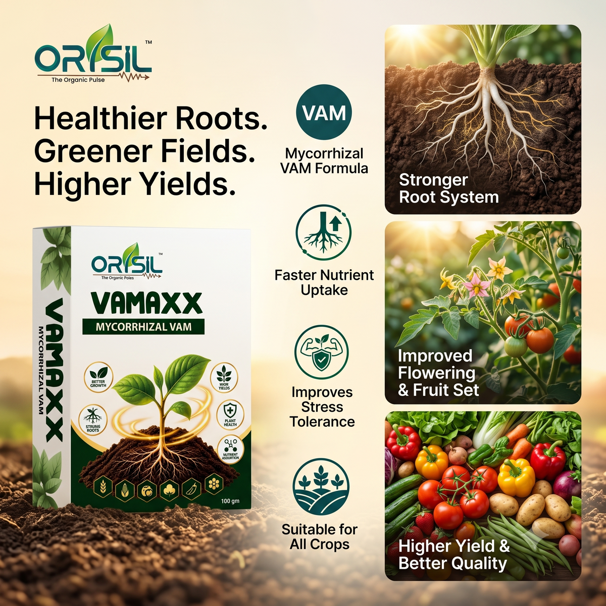 Annadata Orisil Vamaxx Mycorrhizal 1,20,000 IP Bio Fertilizer Vam