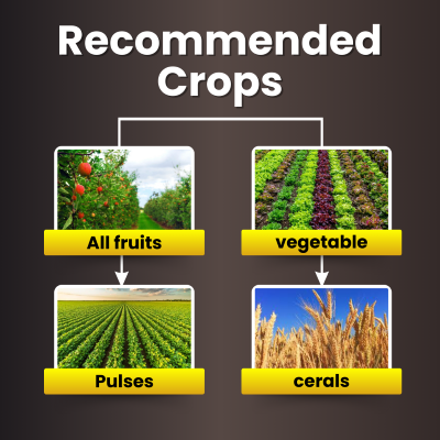 Katyayani Vam-G - Vesicular Arbuscular Mycorrhiza