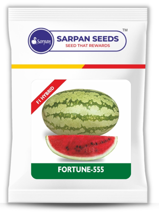 Watermelon F1 Fortune-555