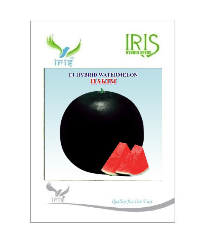 Watermelon F1 Iris Hakim (Sugar Baby Type)
