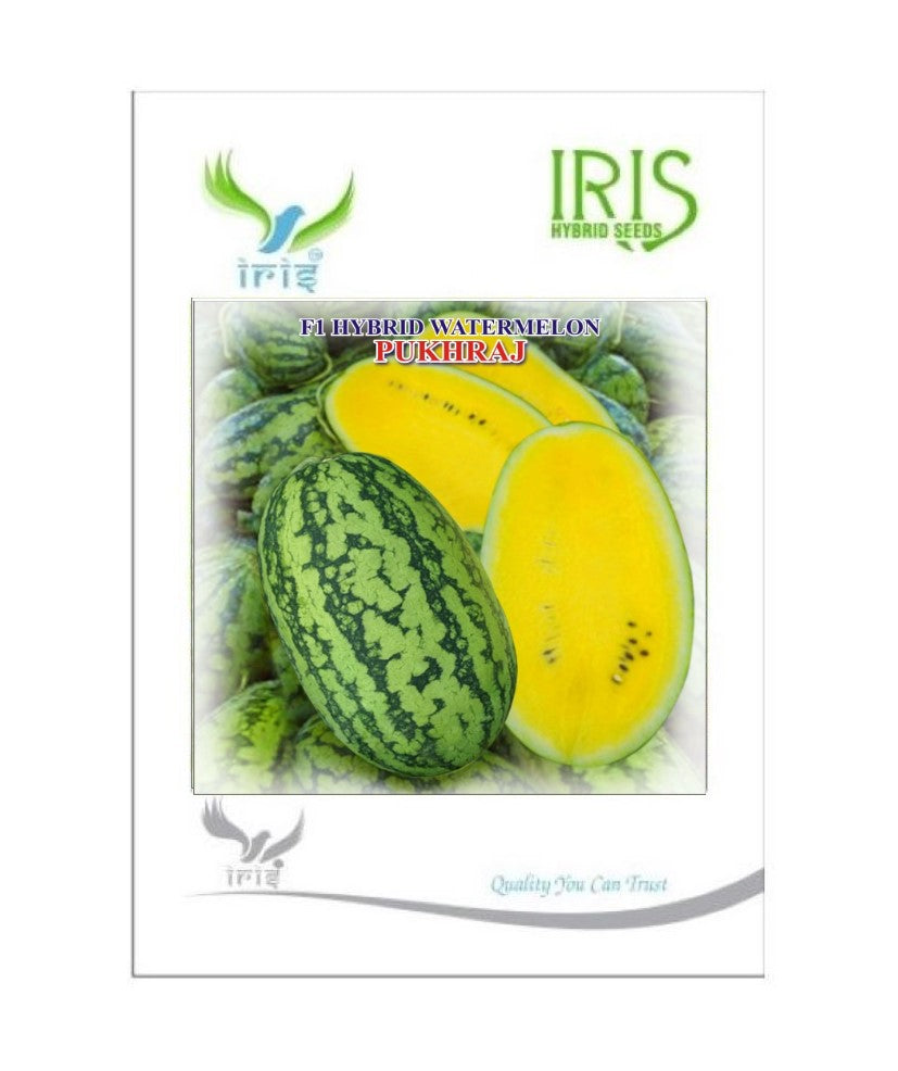 Watermelon F1 Iris Pukhraj (Sugar Baby Type)