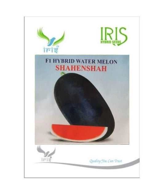 Watermelon F1 Iris Shahenshah