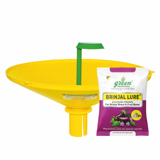 Green Revolution Water trap with Brinjal Lure