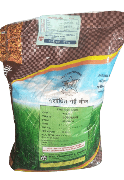 Wheat Research Lokmani