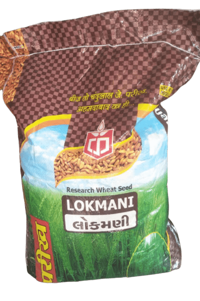 Wheat Research Lokmani