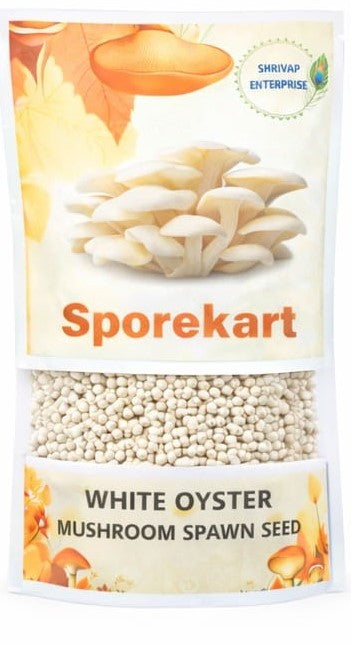 SporeKart White Oyster Mushroom Spawn (Seeds)