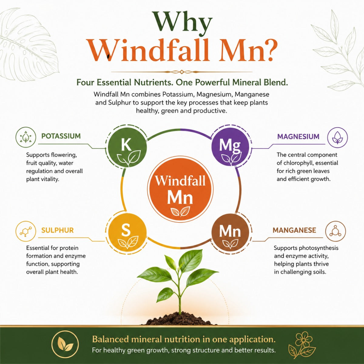 Ecotika Windfall Mn | Potassium, Magnesium & Manganese Fertilizer