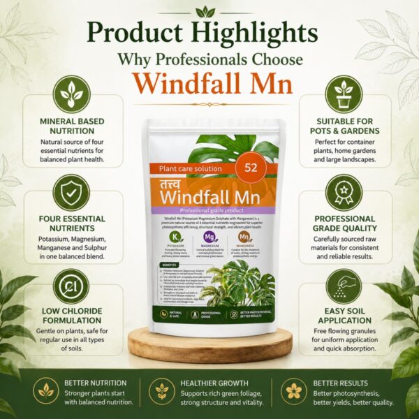 Ecotika Windfall Mn | Potassium, Magnesium & Manganese Fertilizer