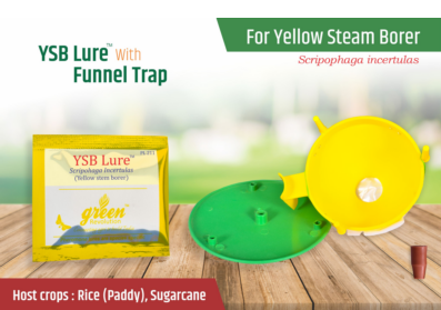Combo Pack of Funnel Pheromone Trap + YSB Pheromone Lure