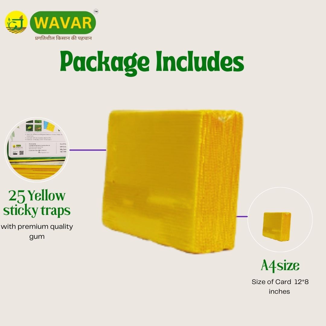 Wavar Yellow Sticky Trap/ Insect trap for Thrips, white flies, for garden  25 sheet in bundle