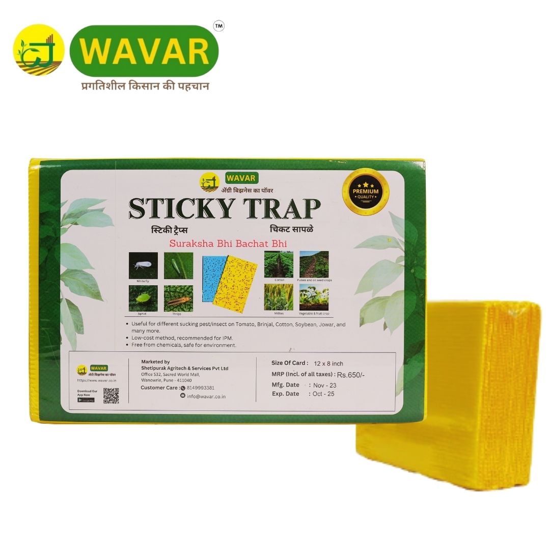 Wavar Yellow Sticky Trap/ Insect trap for Thrips, white flies, for garden  25 sheet in bundle