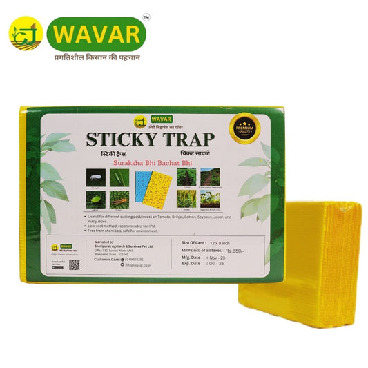 Wavar Yellow Sticky Trap/ Insect trap for Thrips, white flies, for garden  25 sheet in bundle
