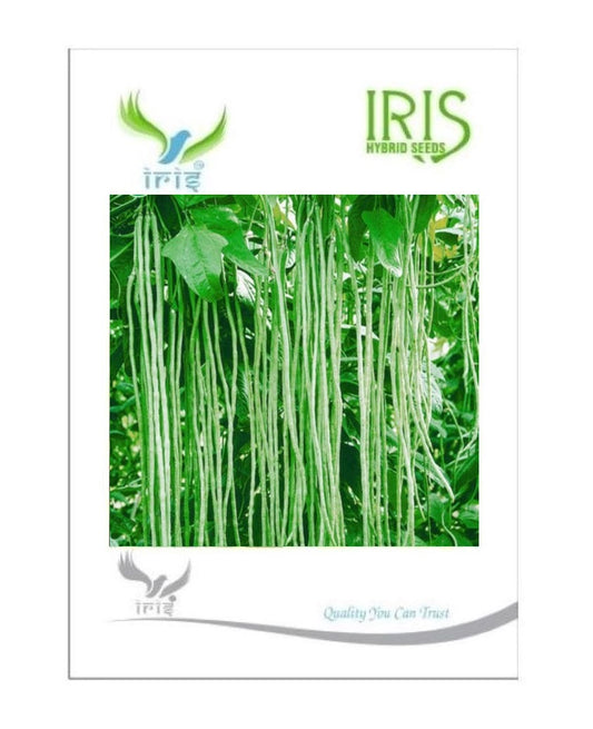 Iris F1 Yard Long Bean