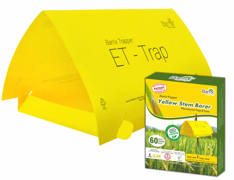 Barrix Trapper Yellow Stem Borer Pheromone Lure & Trap